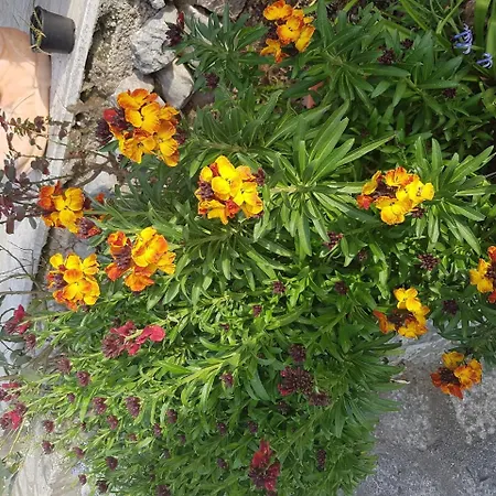 Apartment Crikvenica, Vinodol 15 Crikvenica